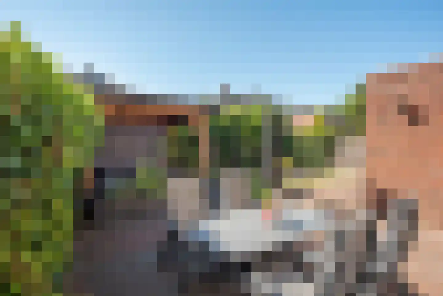 de Schipbeek 11 Delden thumbnail 40
