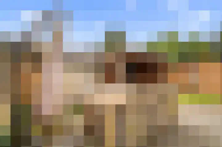 de Schipperij 38 Hellendoorn thumbnail 25