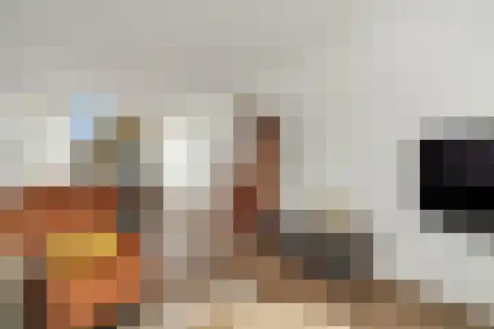 de Schipperij 40 Hellendoorn thumbnail 5