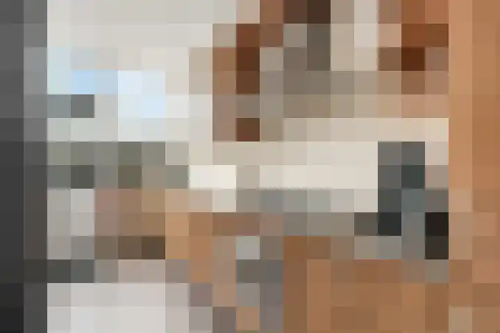 de Schipperij 40 Hellendoorn thumbnail 8