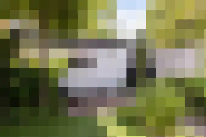 de Schipperij 7 Hellendoorn thumbnail 16