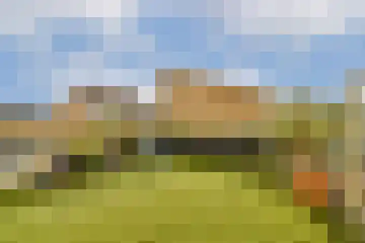 de Schipperij 7 Hellendoorn thumbnail 20