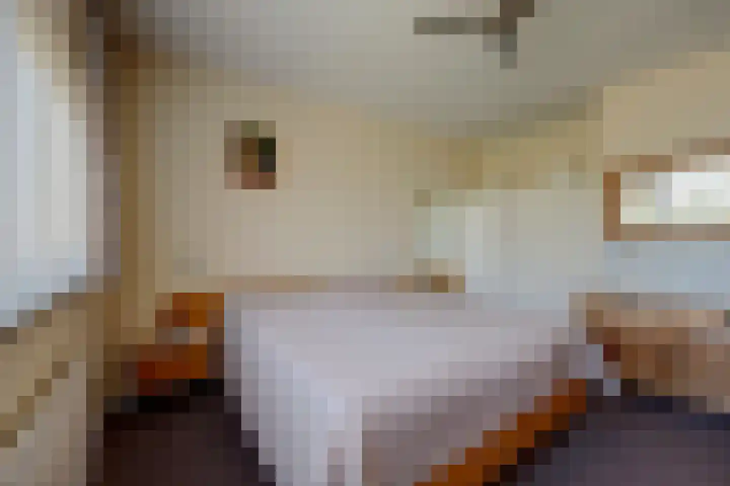 de Schoemaker 9 Ruurlo thumbnail 12