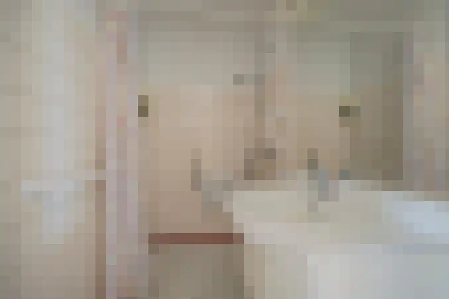 de Schoemaker 9 Ruurlo thumbnail 16