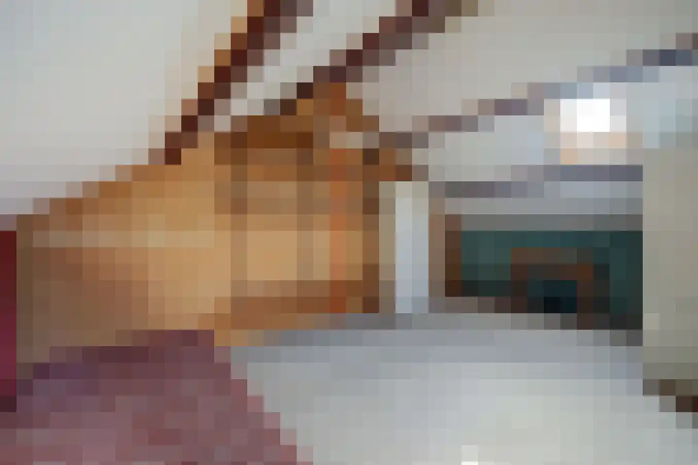 de Schoemaker 9 Ruurlo thumbnail 19