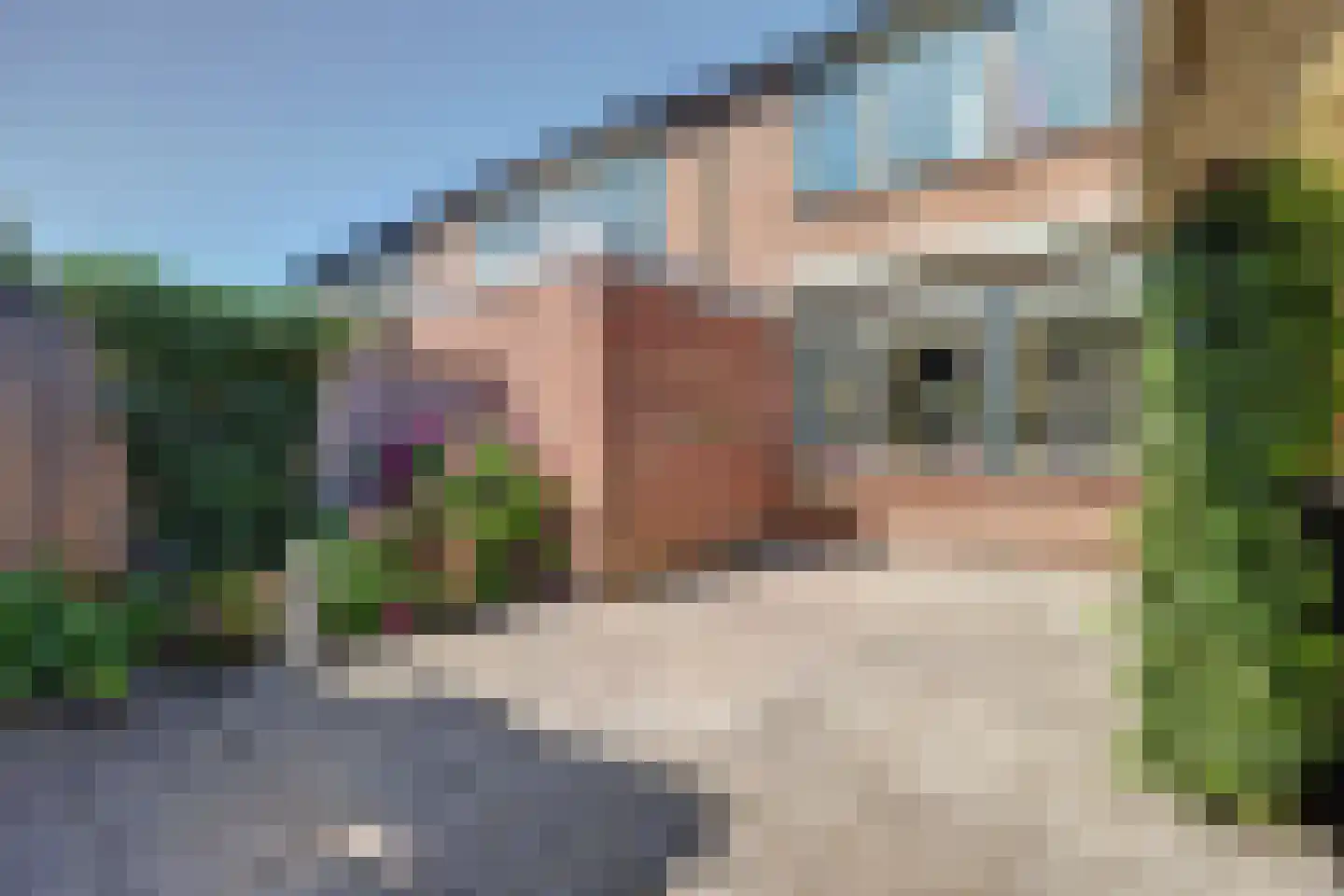 de Schoemaker 9 Ruurlo thumbnail 20