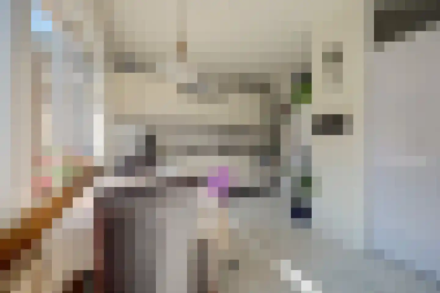 de Schoemaker 9 Ruurlo thumbnail 7
