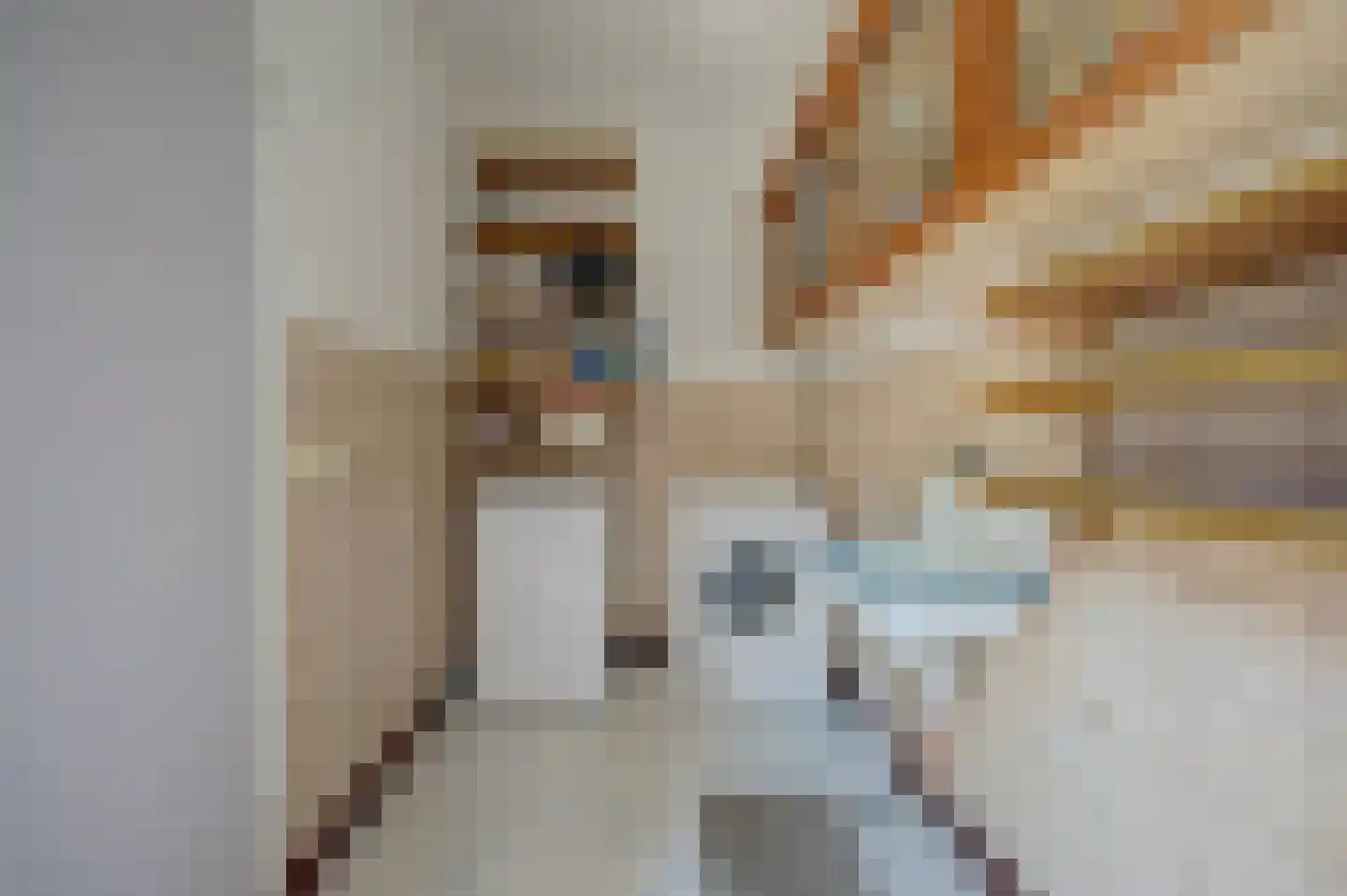 de Schoemaker 9 Ruurlo thumbnail 9