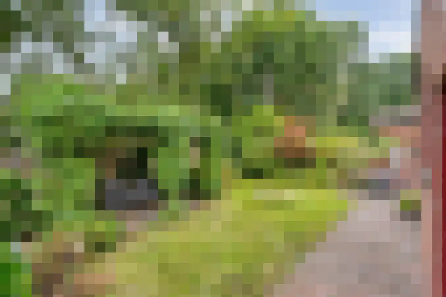 De Schoener 12 Hoogeveen thumbnail 39