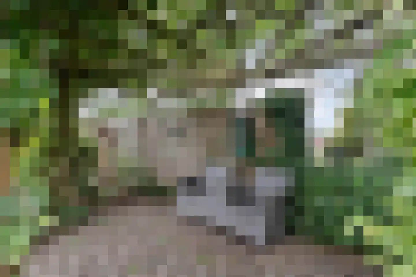 De Schoener 12 Hoogeveen thumbnail 40