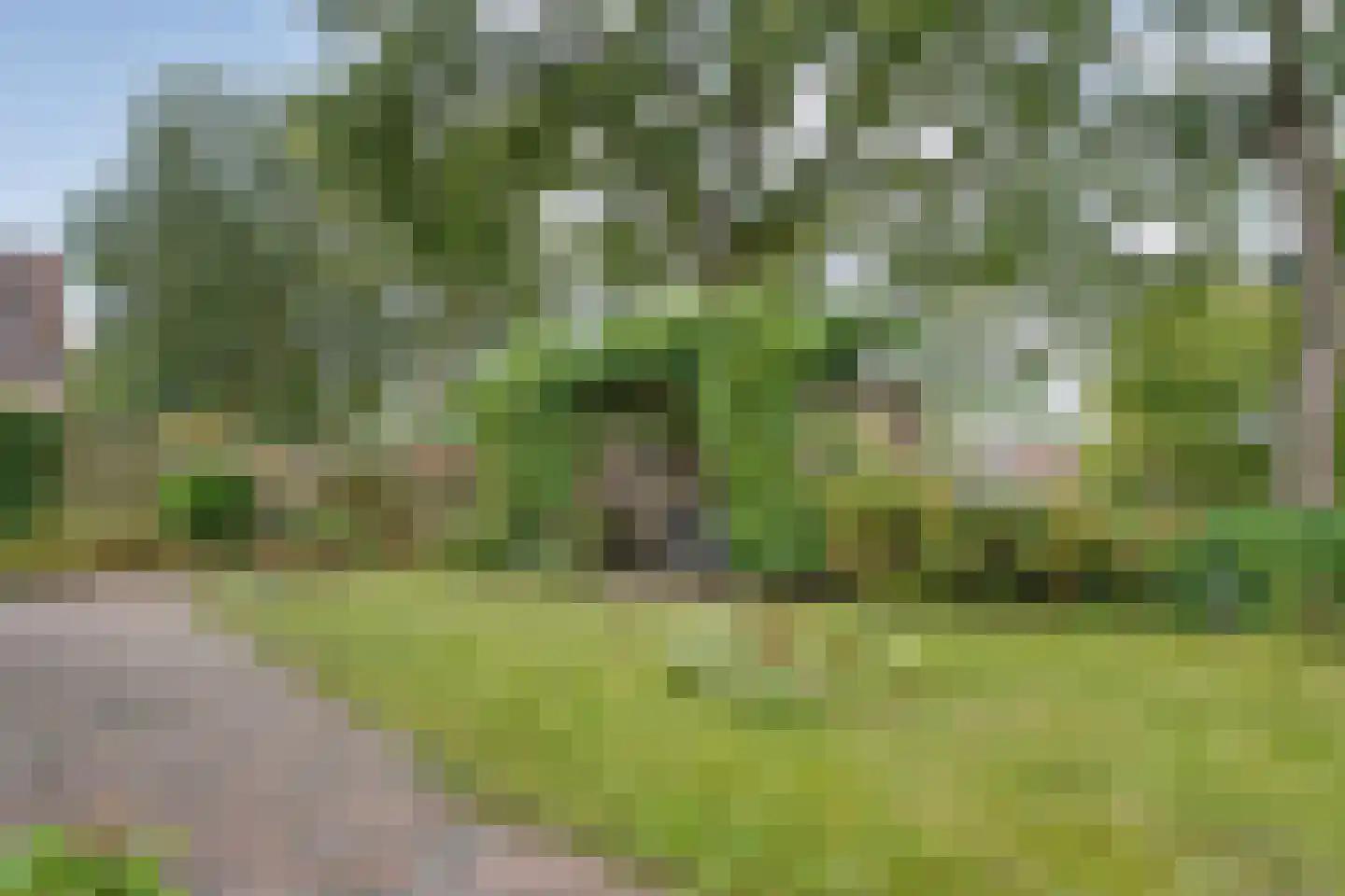 De Schoener 12 Hoogeveen thumbnail 6