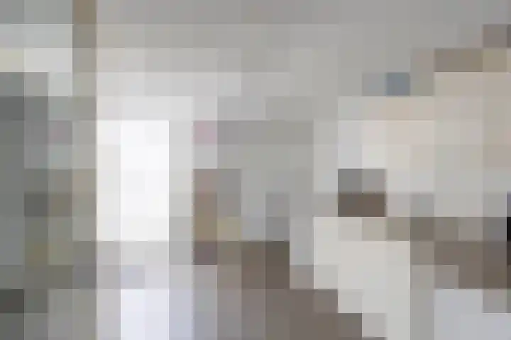 De Schoevert 15 Wanssum thumbnail 15