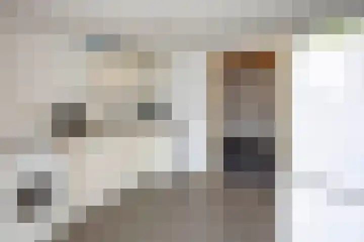 De Schoevert 15 Wanssum thumbnail 16