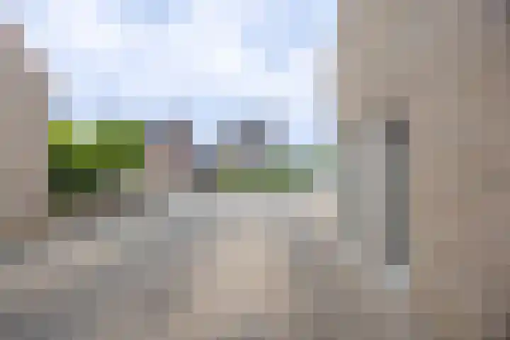 De Schoevert 15 Wanssum thumbnail 30