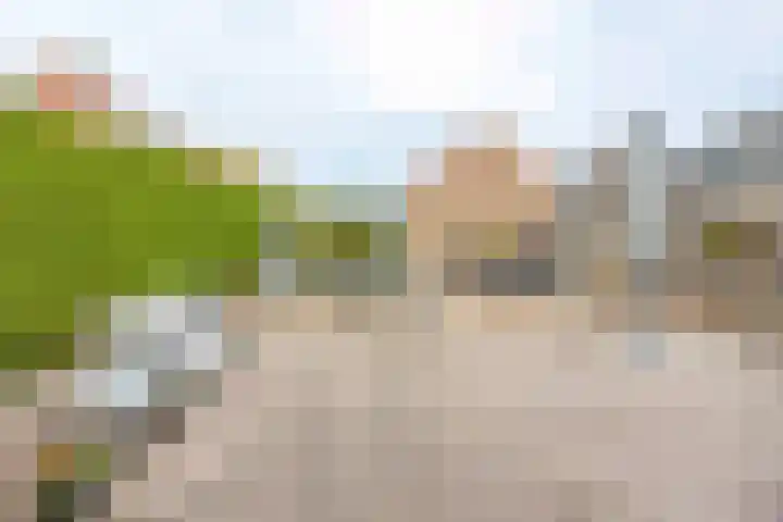 De Schoevert 15 Wanssum thumbnail 32
