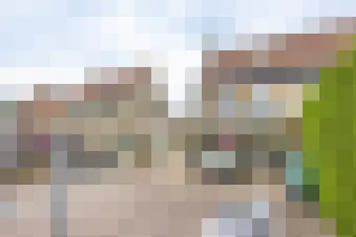 De Schoevert 15 Wanssum thumbnail 33