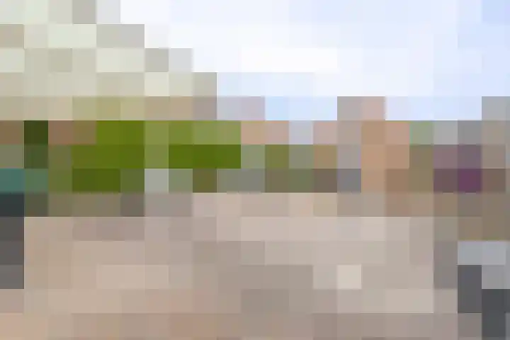 De Schoevert 15 Wanssum thumbnail 35