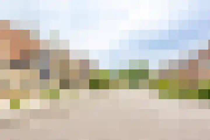 De Schoevert 15 Wanssum thumbnail 36