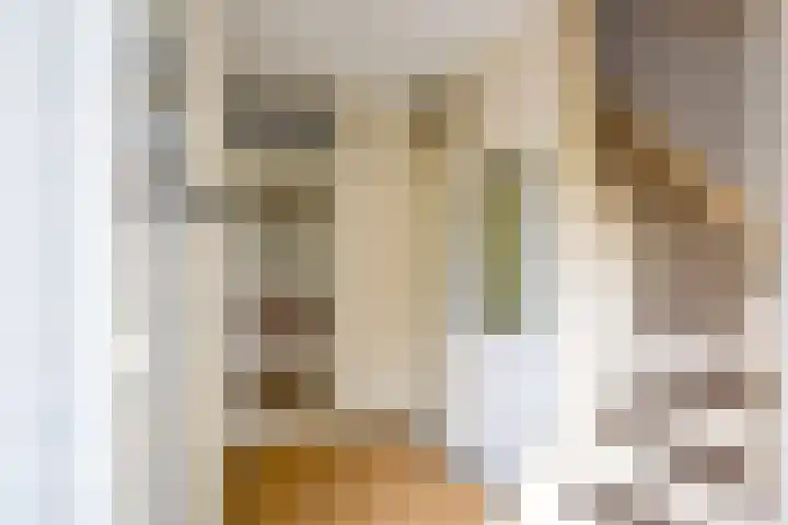 De Schoevert 15 Wanssum thumbnail 5
