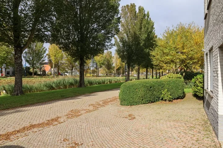 De Scholekster 5 A Harlingen thumbnail 10