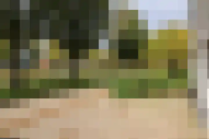 De Scholekster 5 A Harlingen thumbnail 10