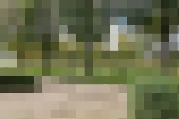 De Scholekster 5 A Harlingen thumbnail 11