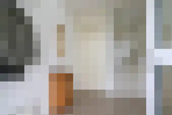 De Scholekster 5 A Harlingen thumbnail 12