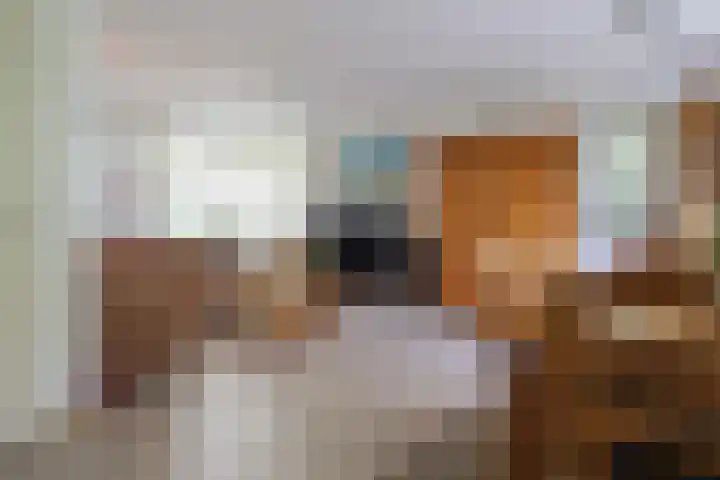 De Scholekster 5 A Harlingen thumbnail 16