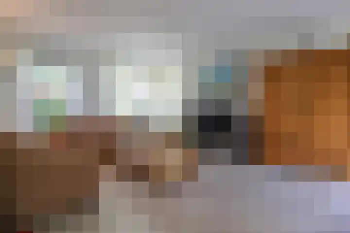 De Scholekster 5 A Harlingen thumbnail 17