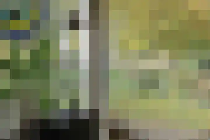 De Scholekster 5 A Harlingen thumbnail 18