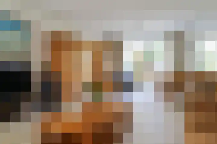 De Scholekster 5 A Harlingen thumbnail 21