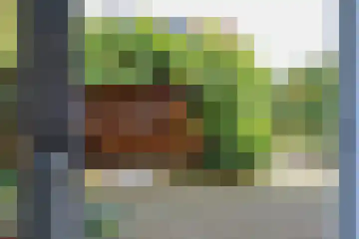 De Scholekster 5 A Harlingen thumbnail 23