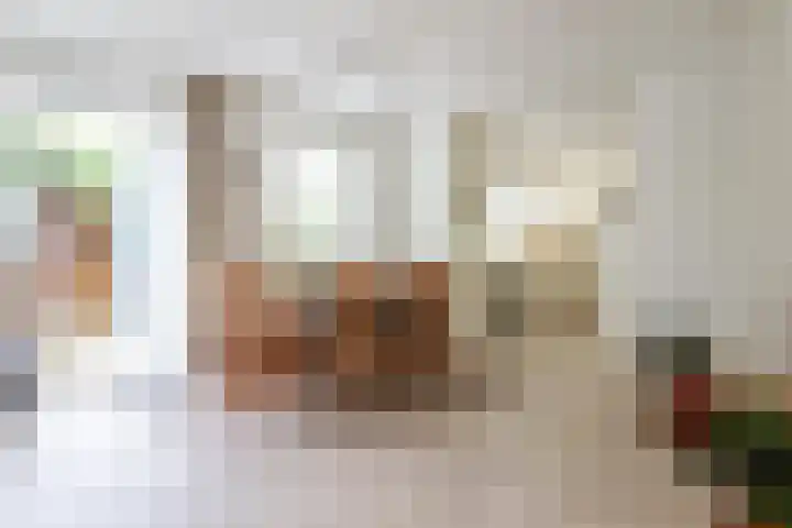 De Scholekster 5 A Harlingen thumbnail 24