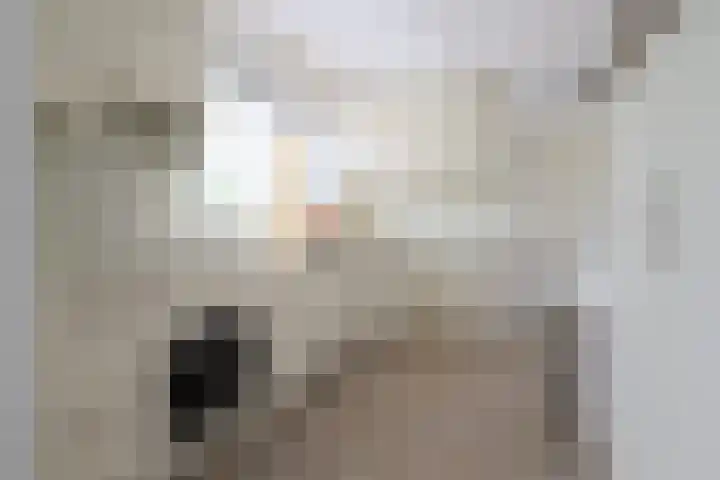 De Scholekster 5 A Harlingen thumbnail 25