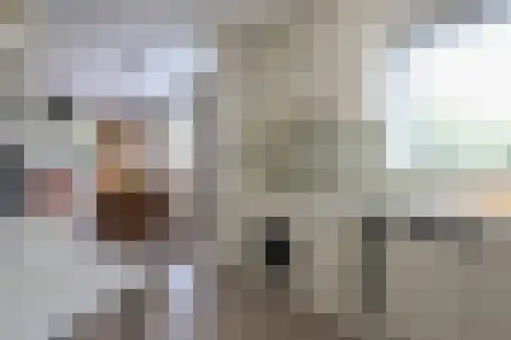De Scholekster 5 A Harlingen thumbnail 27