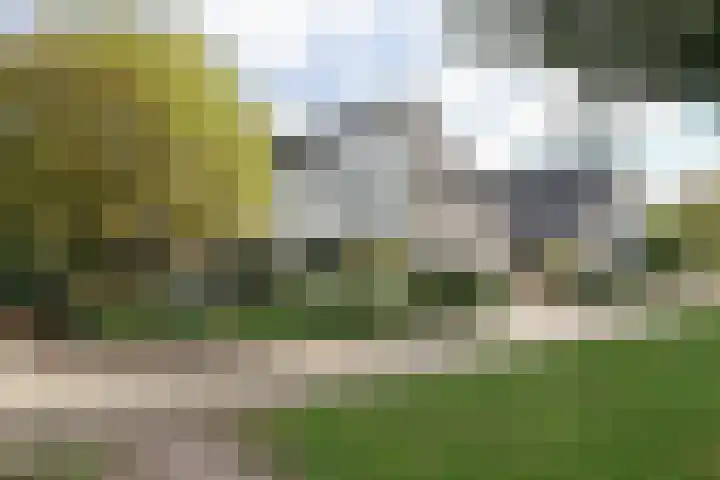 De Scholekster 5 A Harlingen thumbnail 4