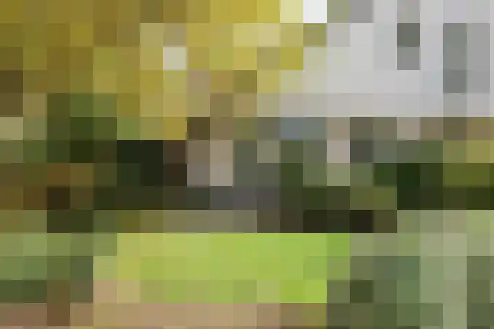 De Scholekster 5 A Harlingen thumbnail 5
