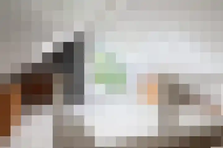 De Scholekster 5 A Harlingen thumbnail 55