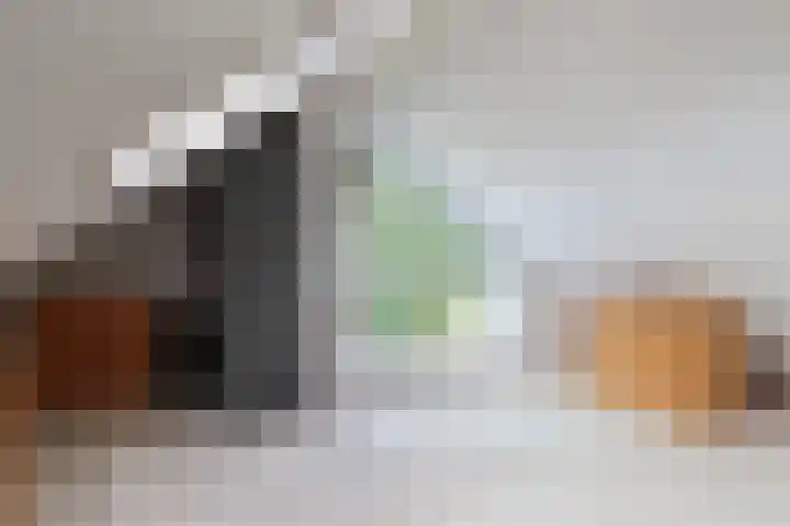 De Scholekster 5 A Harlingen thumbnail 56