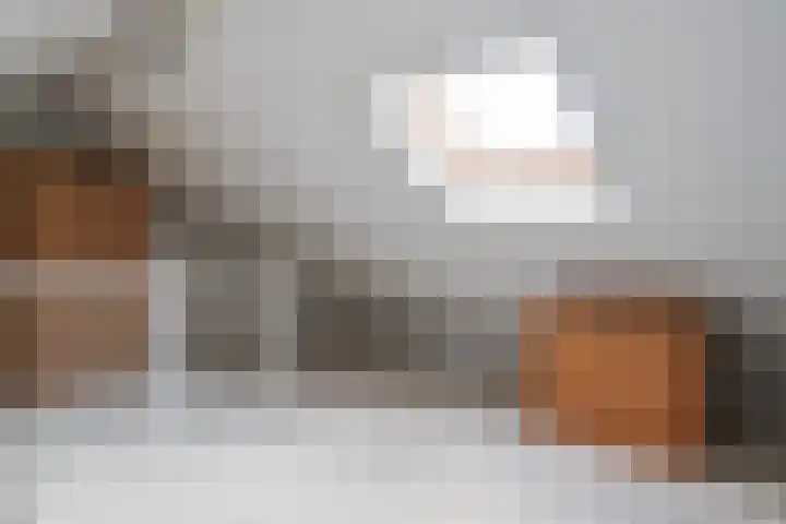 De Scholekster 5 A Harlingen thumbnail 57