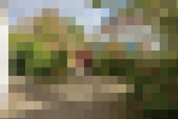 De Scholekster 5 A Harlingen thumbnail 58