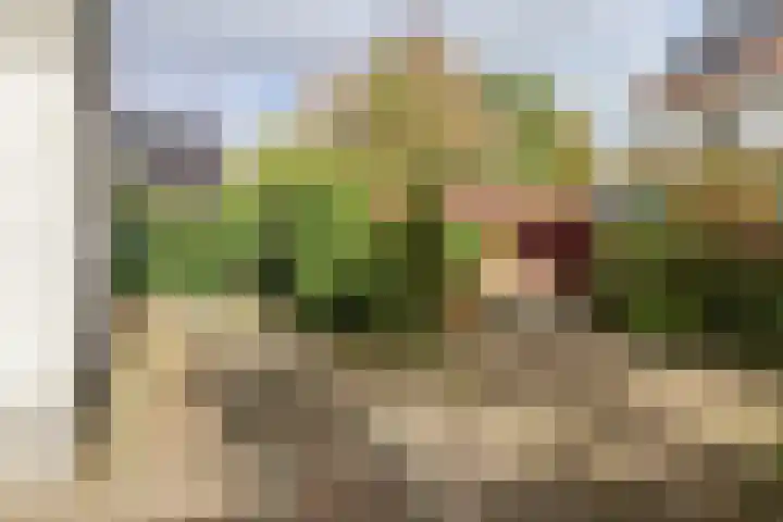 De Scholekster 5 A Harlingen thumbnail 59