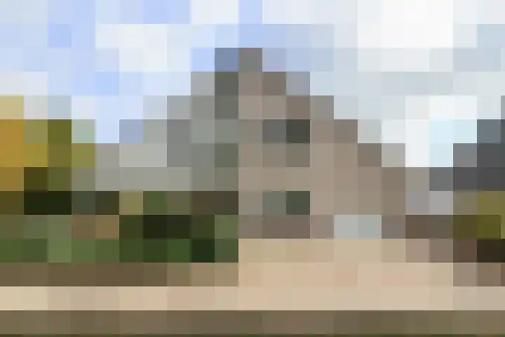 De Scholekster 5 A Harlingen thumbnail 6