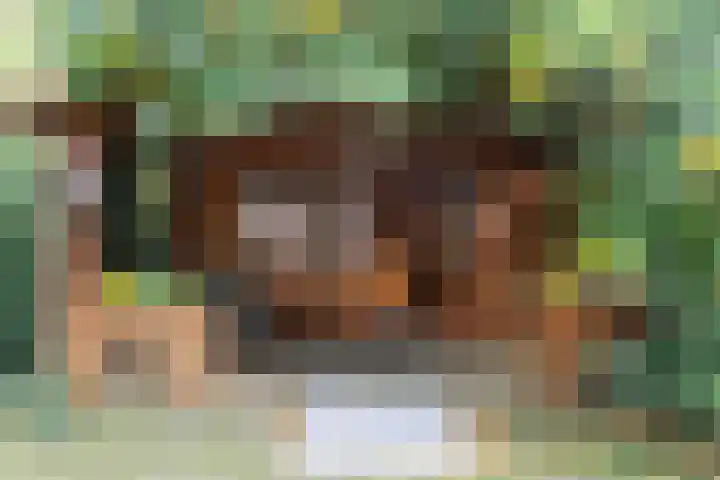 De Scholekster 5 A Harlingen thumbnail 61