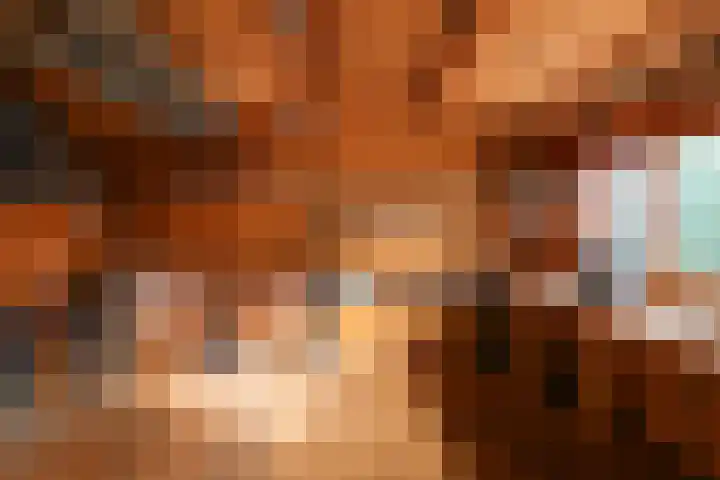 De Scholekster 5 A Harlingen thumbnail 62