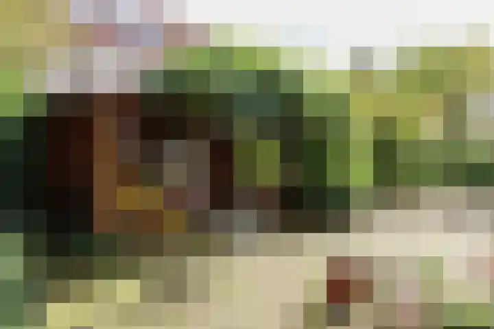 De Scholekster 5 A Harlingen thumbnail 63