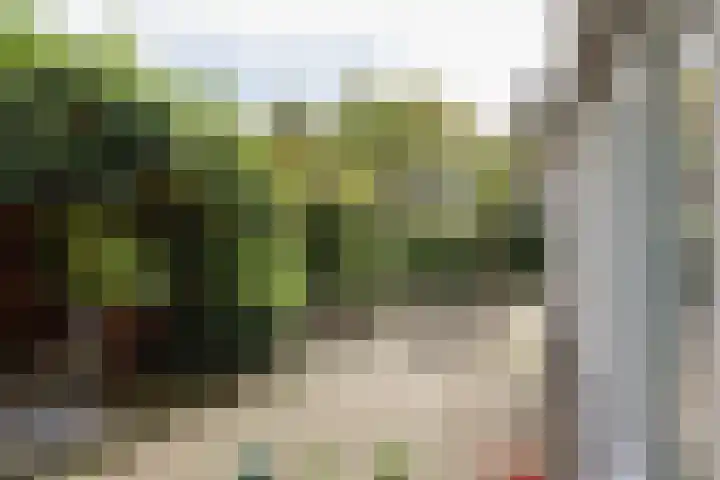De Scholekster 5 A Harlingen thumbnail 64
