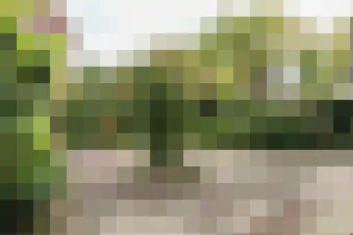 De Scholekster 5 A Harlingen thumbnail 65