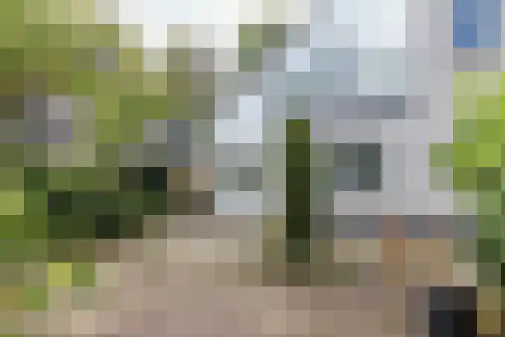 De Scholekster 5 A Harlingen thumbnail 66