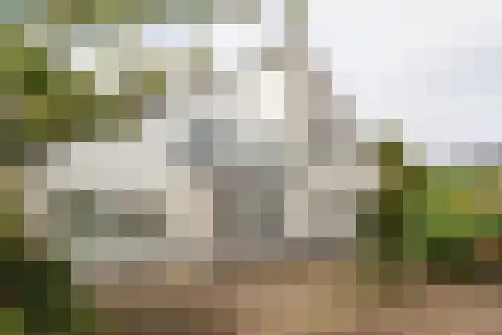 De Scholekster 5 A Harlingen thumbnail 67